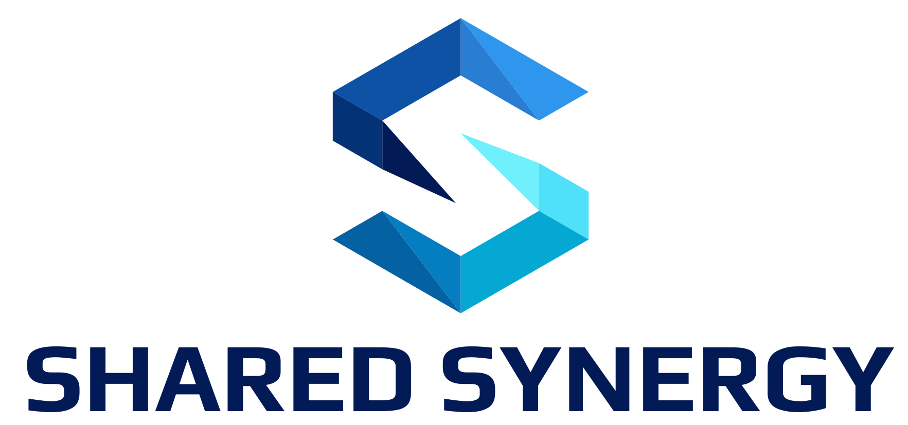 Shared Synergy Logo